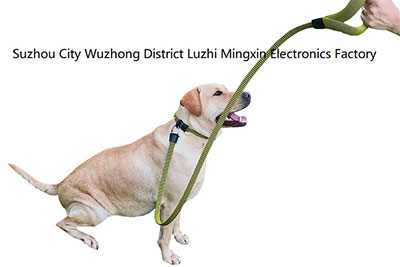 Laisse et Collier pour chien (Breveté dans l’UE, Chine)